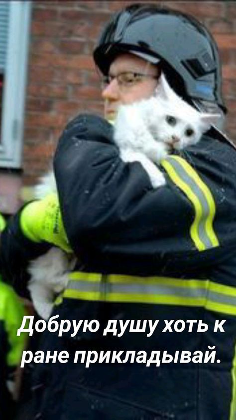 добрую душухоть к ране прикладывай