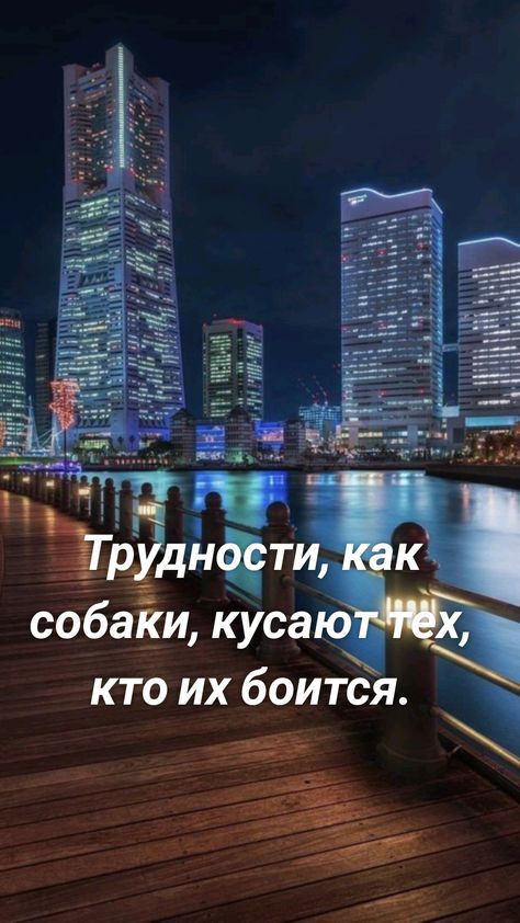 собаки куса кто их боится