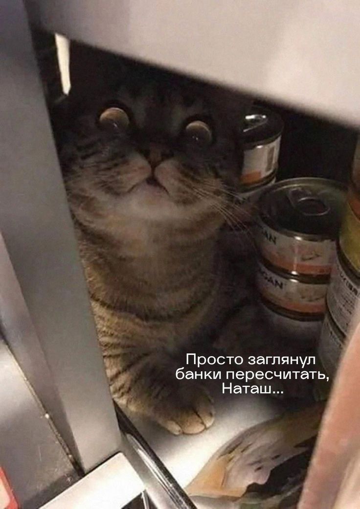 Просто заглянул бЕНКИ пересчитать Натвш