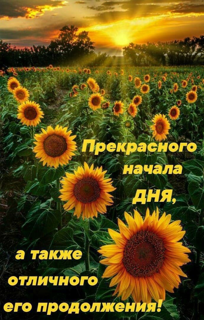 сти идёте и Р его прщмжейашёё