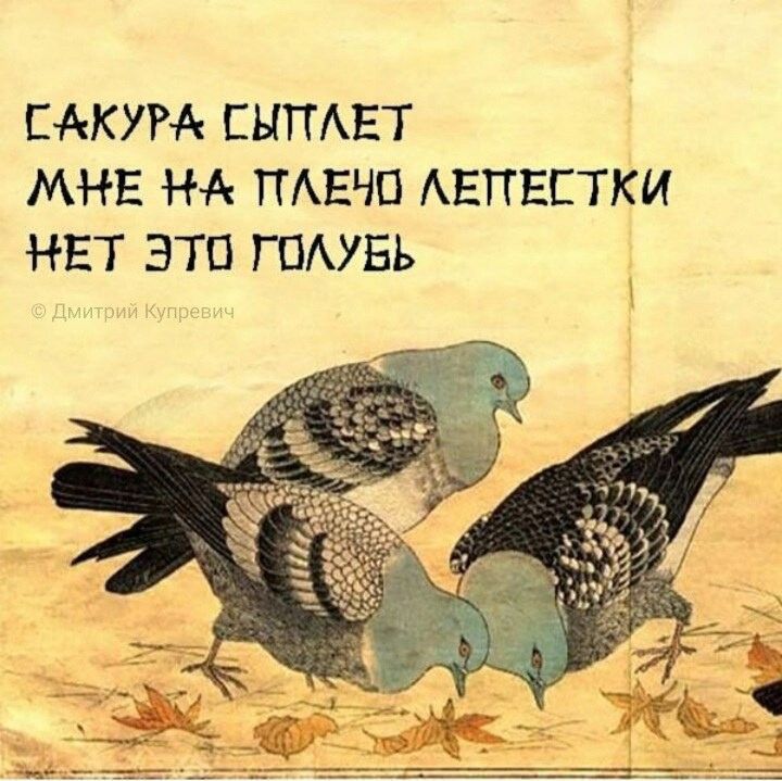 ЕАКУРА ЕЬПТАЕТ МНЕ НА ПАЕЧО АЕТТЕСТКИ НЕТ ЭТП ГПАУБЬ