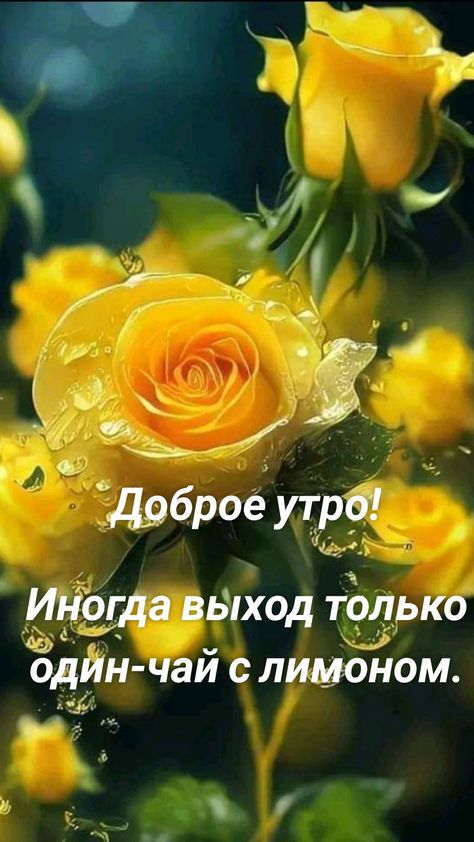 Дрброё утра а ввіход только од _н чай с лишнем
