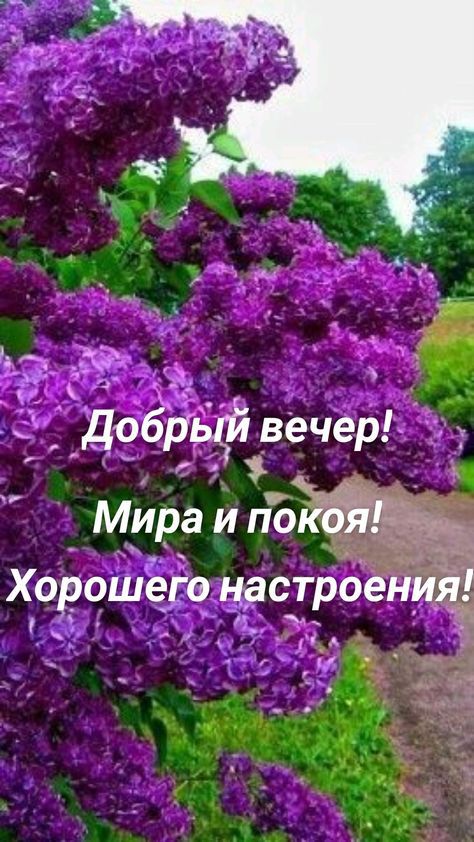 _ _ Хорошего настрое _ А л_