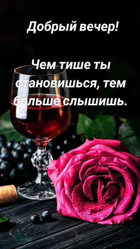 добрый вечер Чем тише ты но шься тем