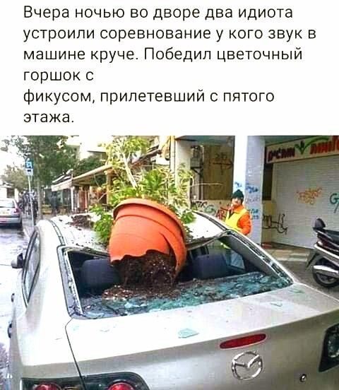 Вчера ночью во дворе два идиота устроили соревнование у кого звук в машине круче Победил цветочный горшок Фикусом припетевший пятого этажа