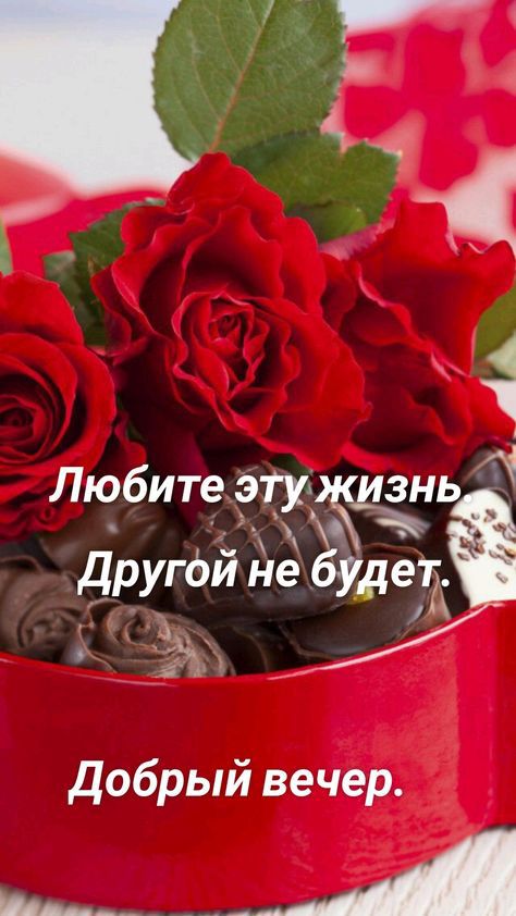 4 4 Любитеётр знь _ _аругёйне да 5 добрый вечер