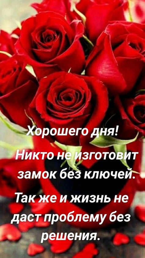 рошего я иктощзгото т замокб ключе Так же и жизнь не даст проблему без решения о _ И