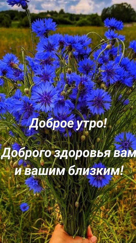 ББ оброе утр Р9 о 01 доровь ява Т И гг оч