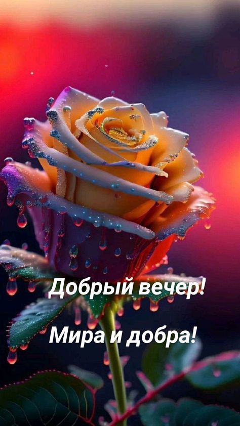 добра