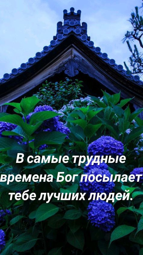 В самЫе трудные времена Бог пдёіьдлает тебе лучШих людей