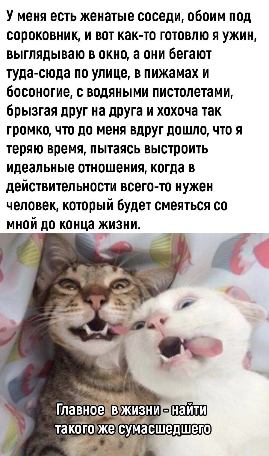 У меня есть женатые соседи обоим под сороковник и вот как то готовлю я ужин выглядываю в окно а они бегают туда сюда по улице в пижамах и босоногие с водяными пистолетами Брызгая ПРУГ на двуга и хохоча так громко что до меня вд1Уг дошло что я теряю время пытаясь выстроить идеальные отношения когда в действительности всегото нужен человек который будет смеяться со мной до конца жизни