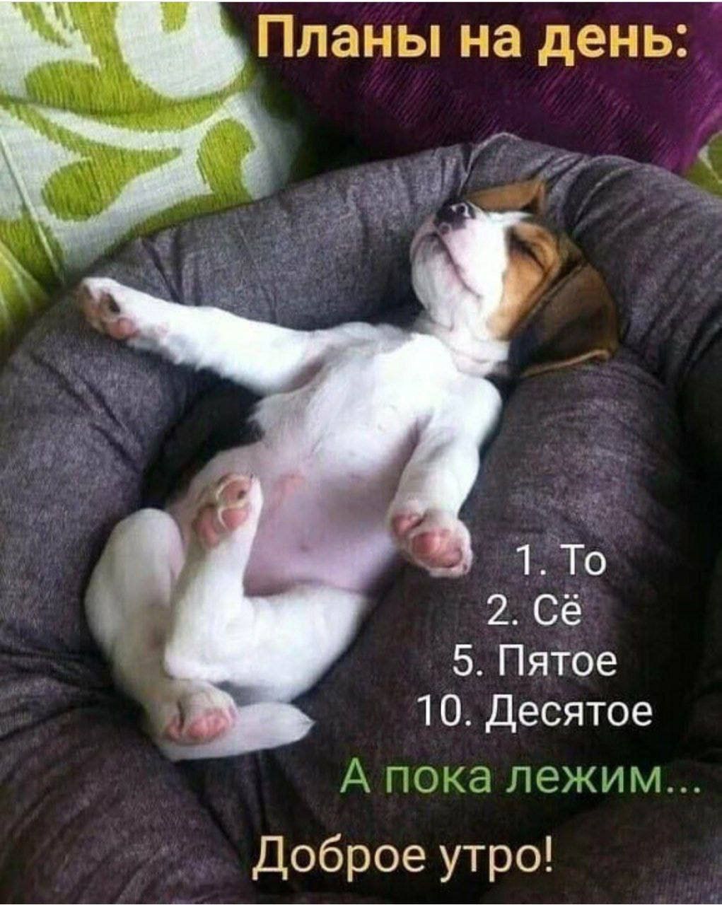 х пп и ламы На дЭь Ь 1 То 2 Сё Пятое 1 Десятое ТЭЖИГ Доброе утро