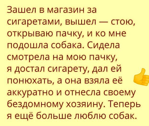 Зашел в магазин за сигаретами вышел стою открываю пачку и ко мне подошла собака Сидела смотрела на мою пачку я достал сигарету дал ей понюхать а она взяла её аккуратно и отнесла своему бездомному хозяину Теперь я ещё больше люблю собак