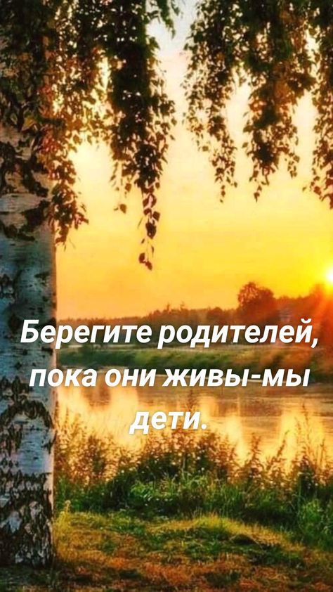 одителей Ы р егите й