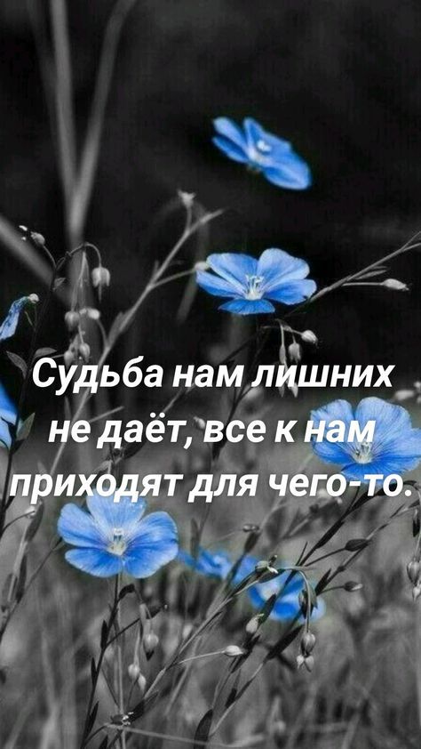 Сугйба нам лишних _ даётвсе к і 4 приходят дл Г уууа ь ащ е А В ы