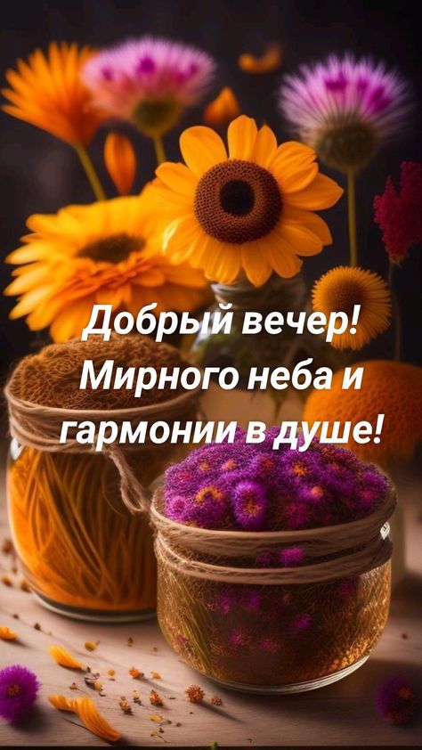 7 Дебрь вечер Мирного неба и