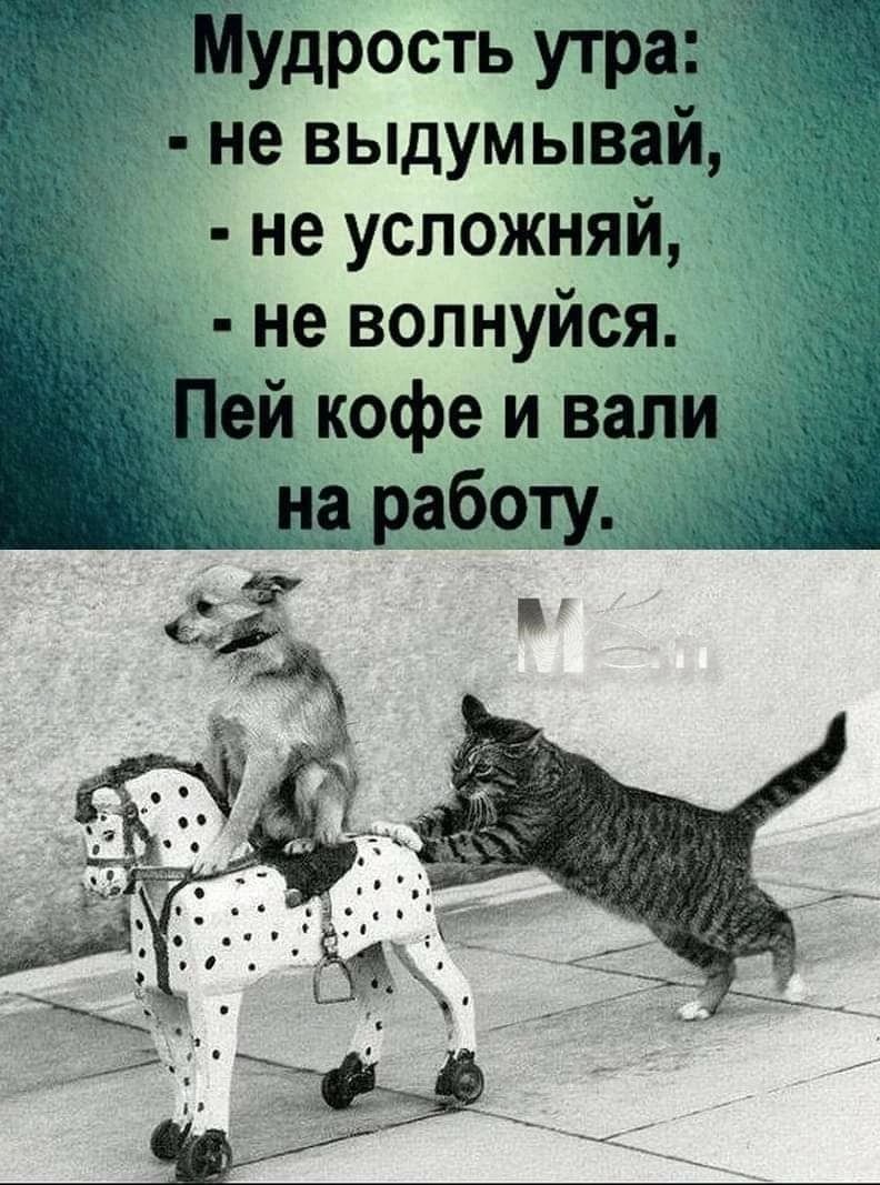 удростьут ъ не выдумывай не успожняй не волнуйся