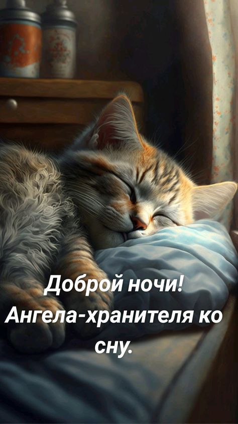 здоб ноч Мда хранителя ко