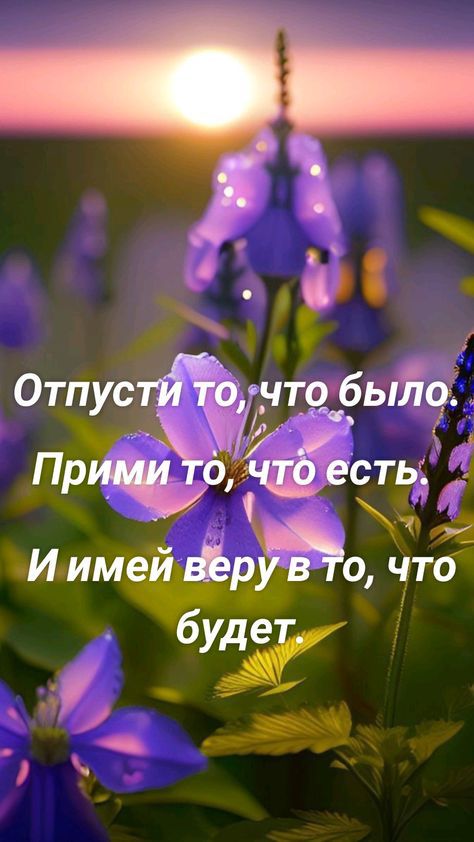 Отпустдо что был9 Причёо и есть Иим щас чтб буж
