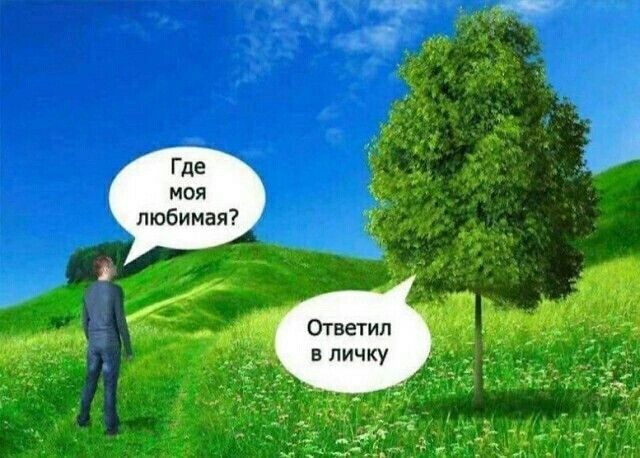 Где моя любимая Ответил в личку