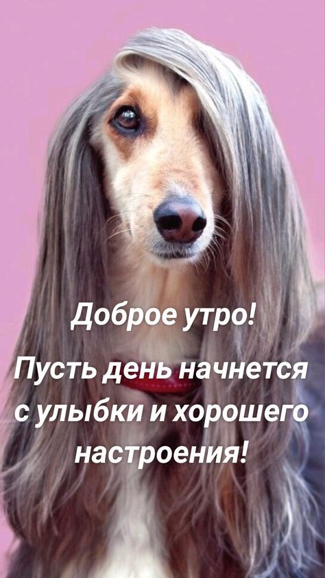 с улыбки и хорошего нас роениЬ9