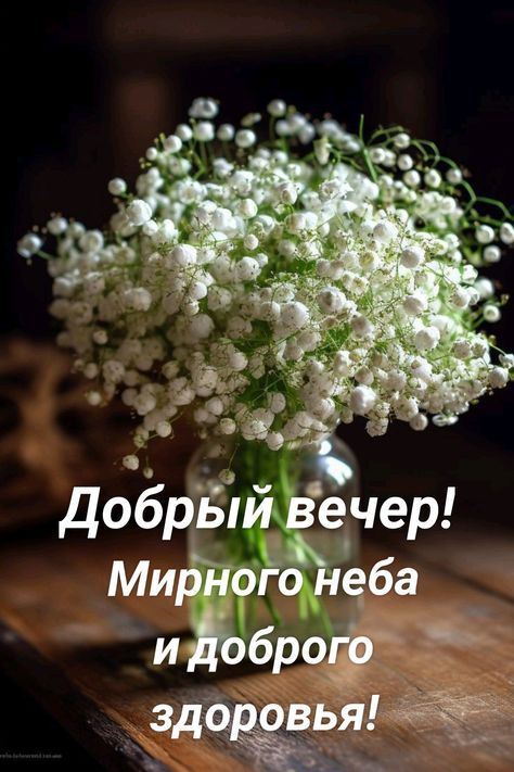 добрый вечер МирногЁЁ леба идіэброф здаёёьщ