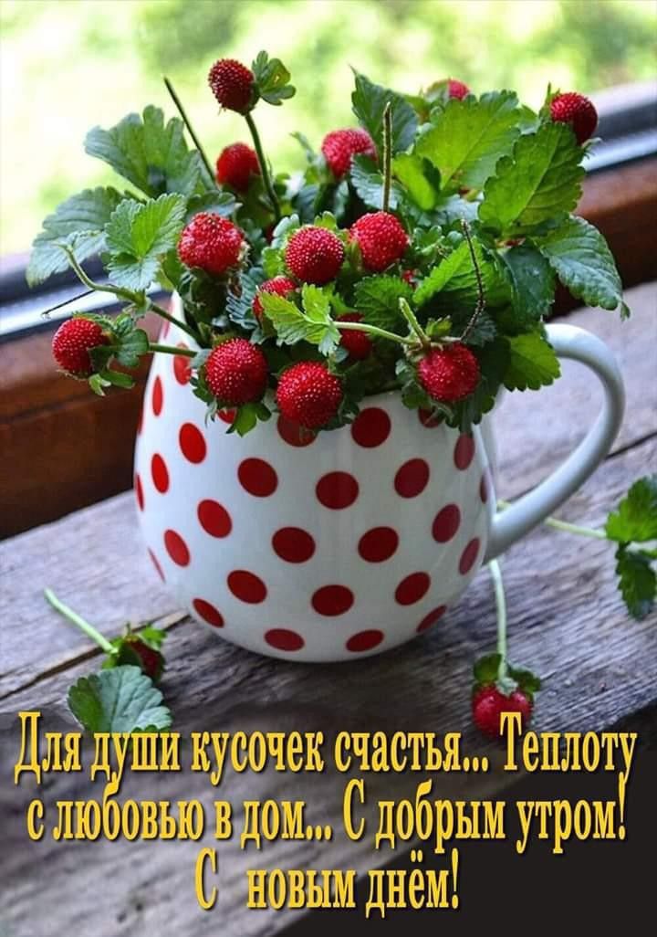 и кувочек счастья Теіпіотг ом С дцбрым утром мднём