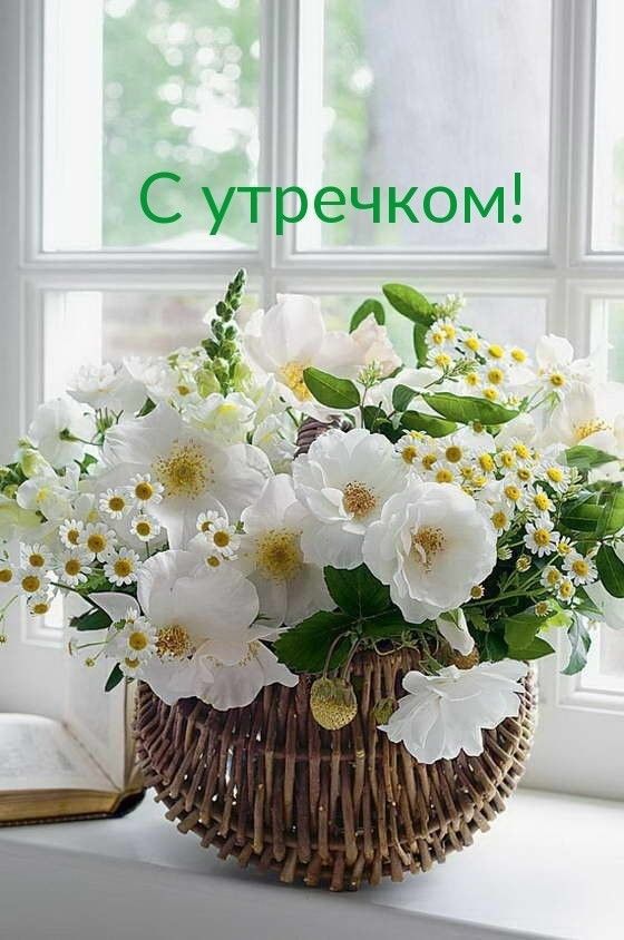 С утречком