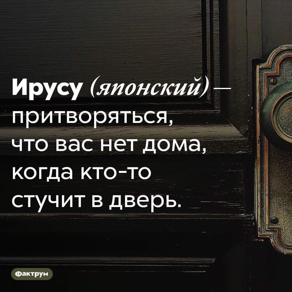 Ирусу японский притворяться что вас нет дома когда ктото стучит в дверь 0 ти