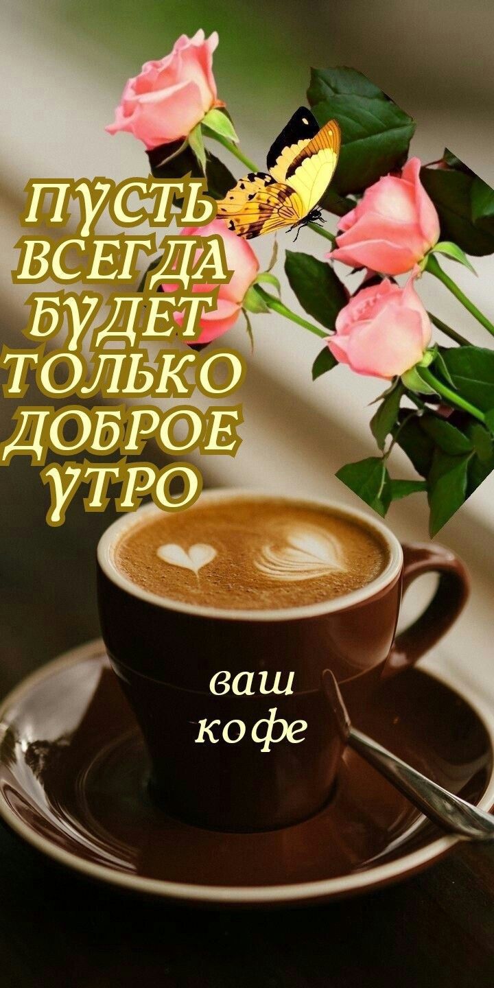девиз ауди ТОЛ1 ДОБРЭЕ