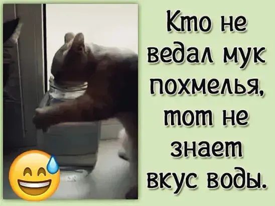 Кто не веда мук похмелья тот не знает вкус воды