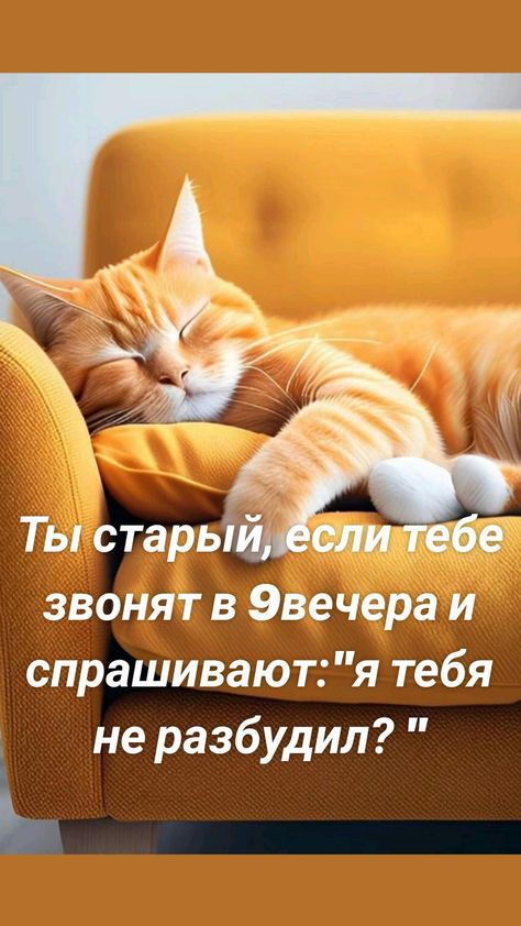 Ты стары звонят в Эвечера и спрашивают я тебя не разбудил ь