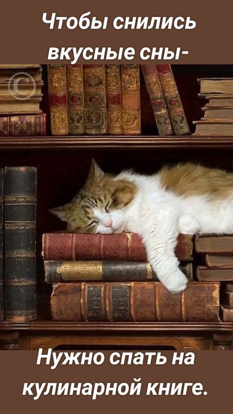 Чтобы снились вкусные сны Нужно спать на кулинарной книге