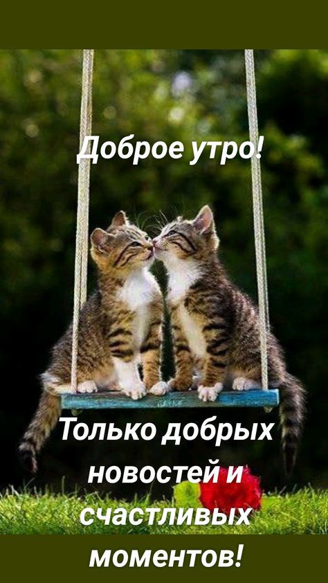 _чТолько дббрыХ моментов