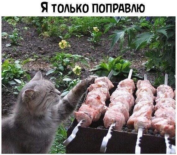 только попрдвлю