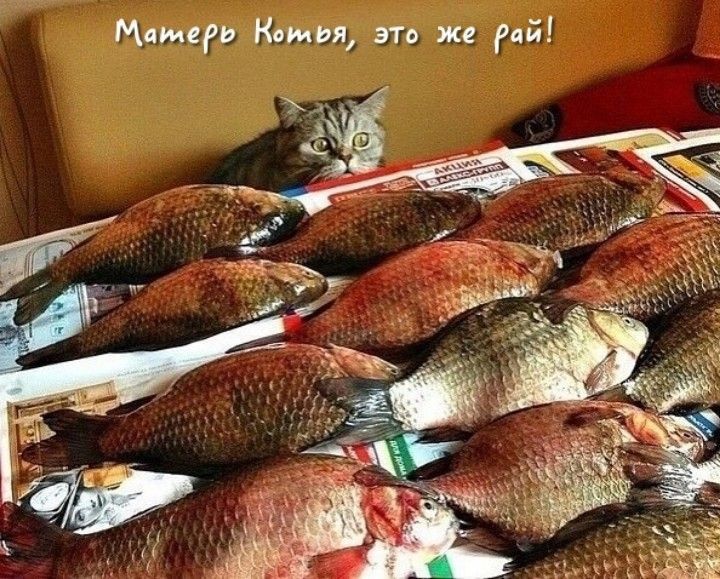 Метц Камин это на ий