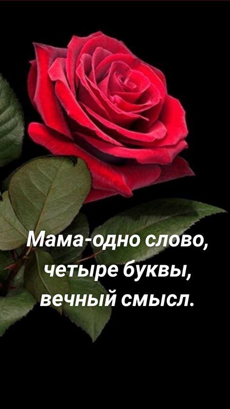 г 814 ч Мама одномвдово четыре буквы вечный смысл мдф