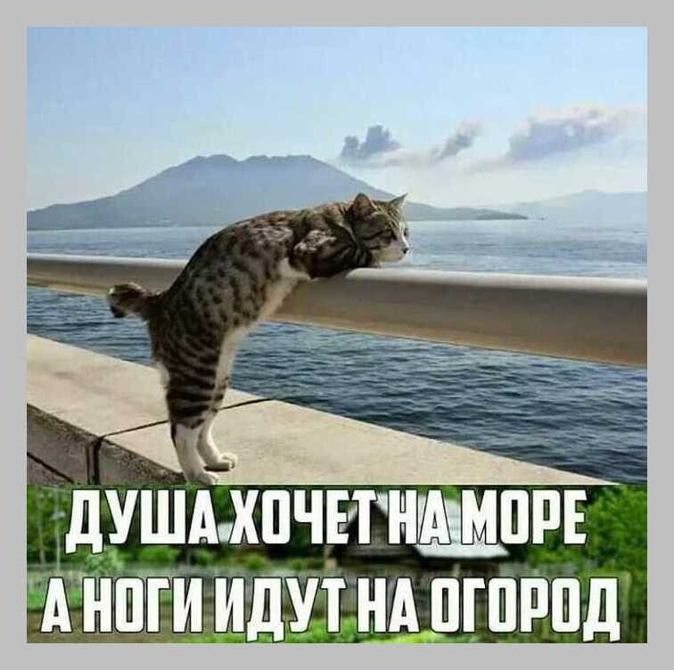 душдхпчвтншпр днпти идутнд _пгпрпд