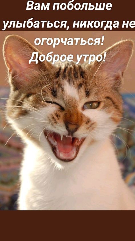 Вам побольше улыбаться никогда не огорчаться