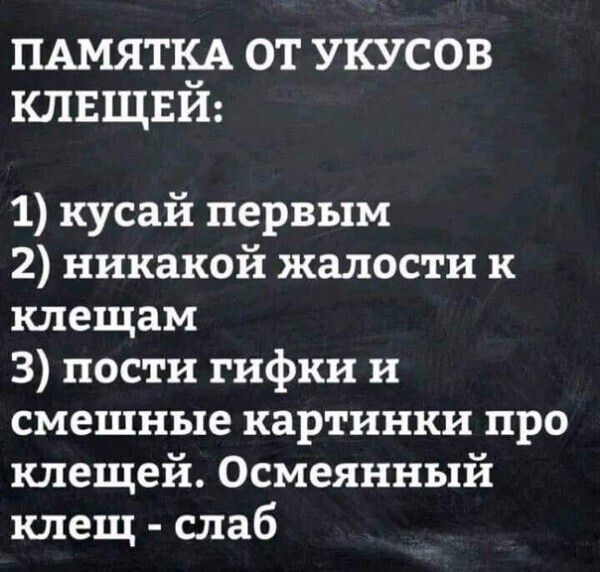 ПАмящА от укусов КЛЕЩЕИ 1 кусай первым 2 никакой жалости к клещам 3 пости гифки и смешные картинки про клещей Осмеянный клещ слаб
