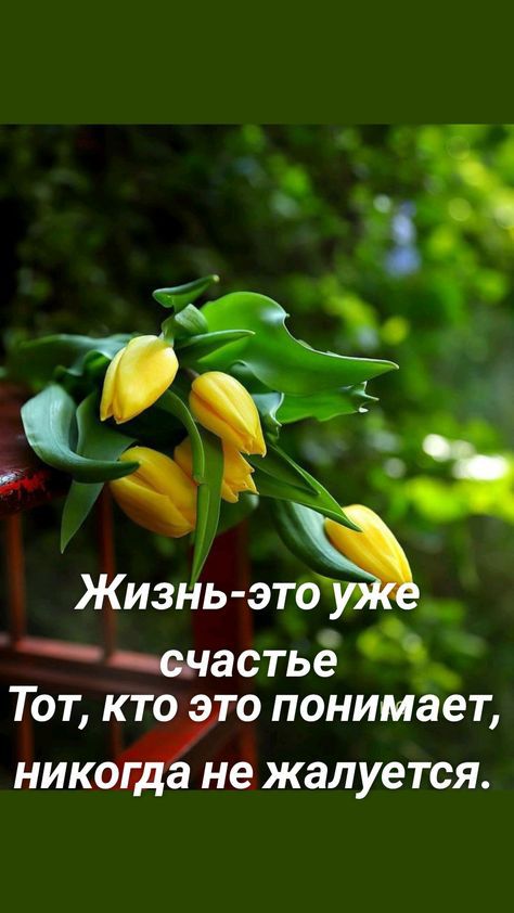Жизнь этё еыастьё Тот кус понимает НИКОГ а не жалуется ТР