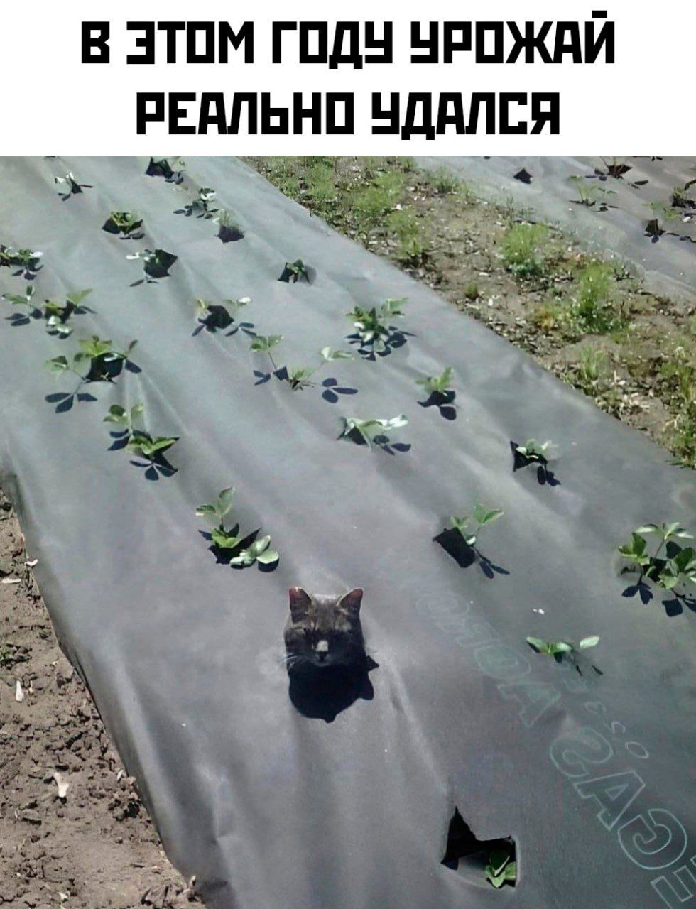 3 атм гпдн нппжпй РЕПЛЬНП нддлпя ъ