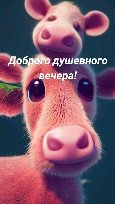 _ душедчго