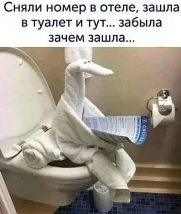 Сняли номер в отеле зашла в туалет и тут забыла зачем зашла