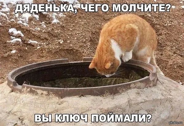 д ВЫ ключ пемдли