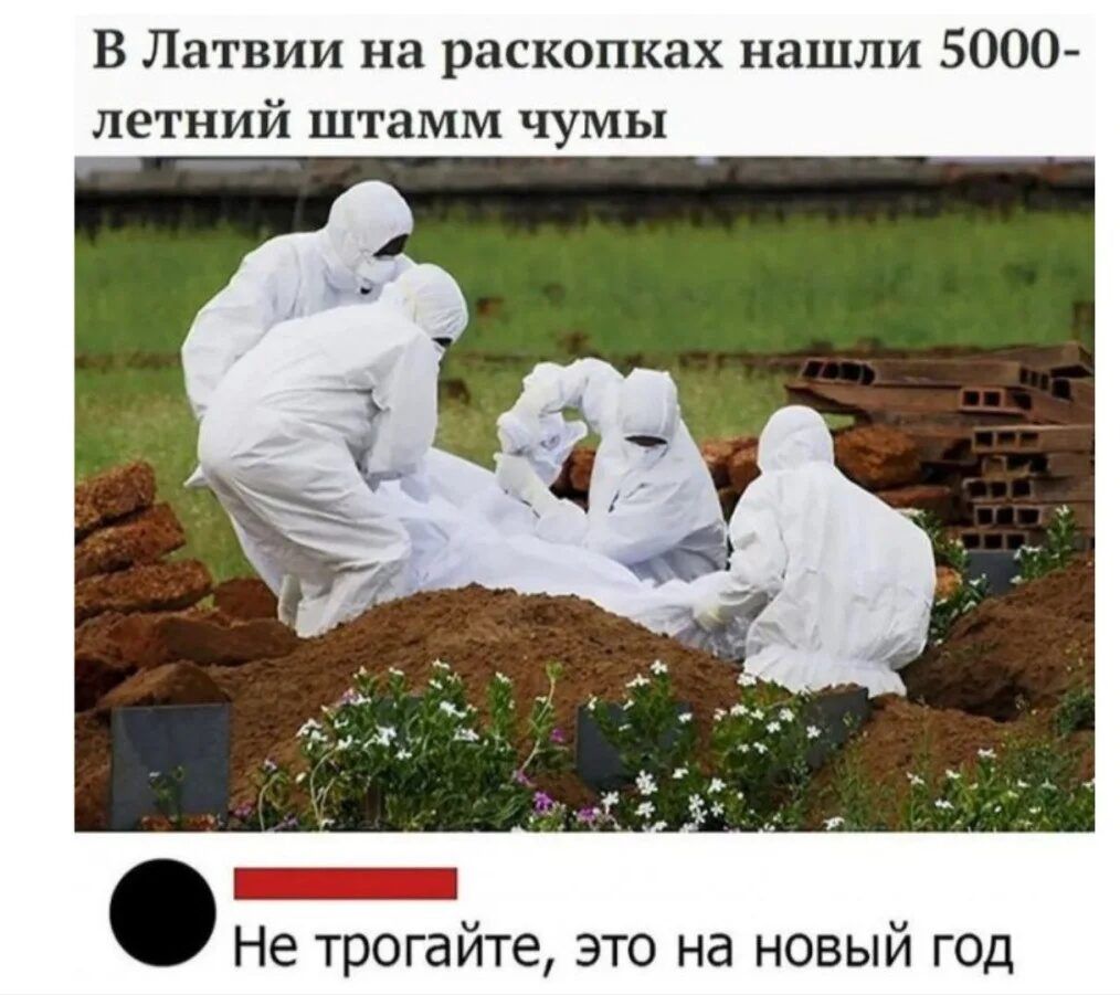 В Латвии на раскопках нашли 5000 летний штамм чумы Не трогайте это на новый год
