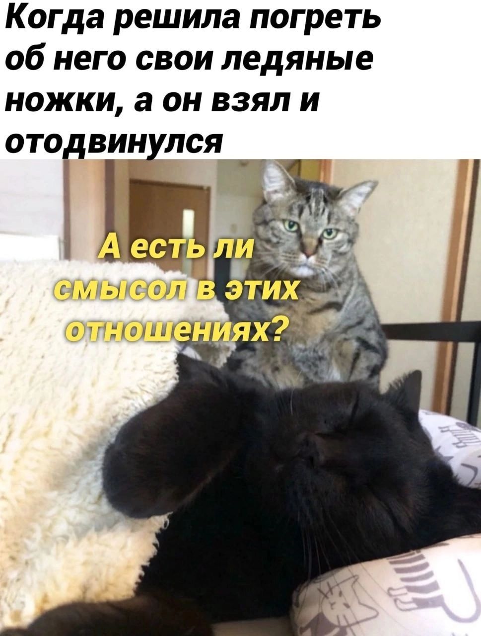 Когда решила погреть об него свои ледяные ножки а он взял и отодвинулся Ыт
