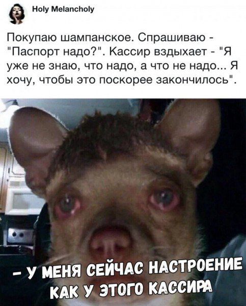Ноу МвапсЬоу Покупаю шампанское Спрашиваю Паспорт надо Кассир вздыхает Я уже не знаю что надо а что не надо Я хочу чтобы это поскорее закончилось у мня свйчдс ндстровние АССИРА мы этого