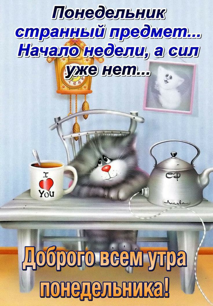 Ц онедельника И