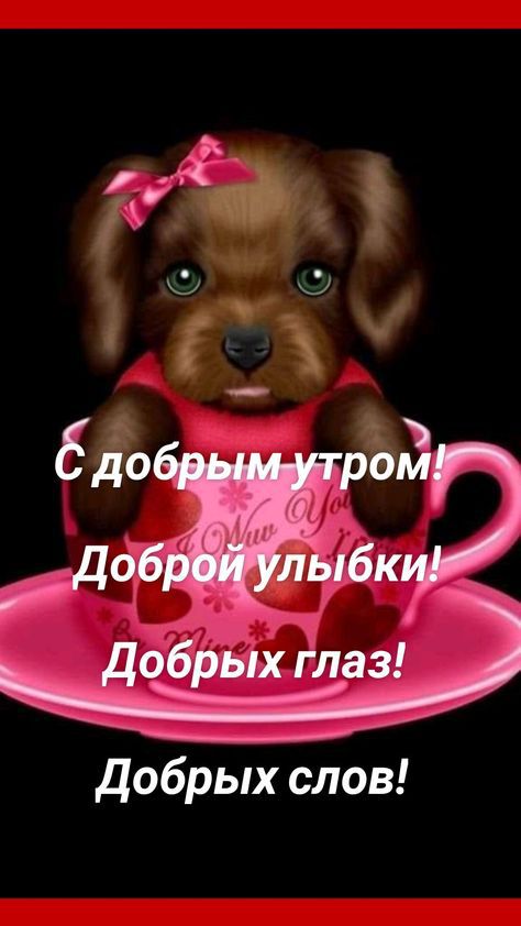 Добрых слов